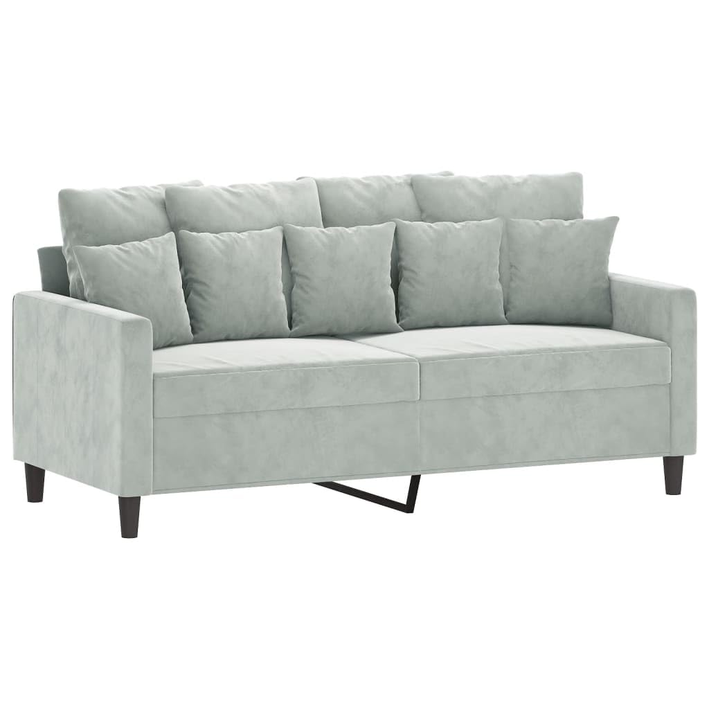 Light Gray Velvet 2 Piece Sofa Set M988