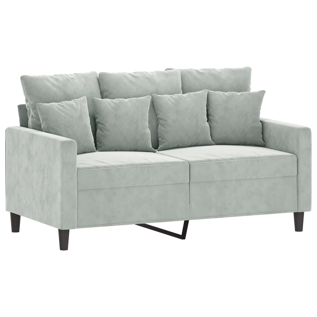 Light Gray Velvet 2 Piece Sofa Set M988