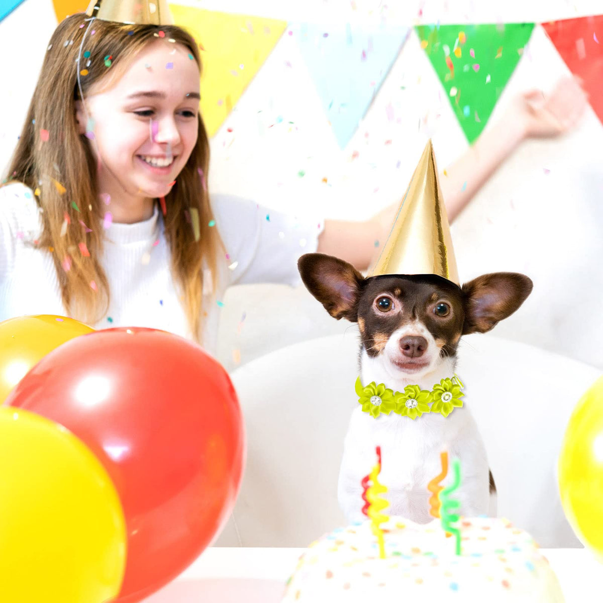 80 Pcs Dog Bowtie Flower Collar Adjustable H34400