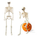 5.4FT Skeleton Halloween Decoration L732787