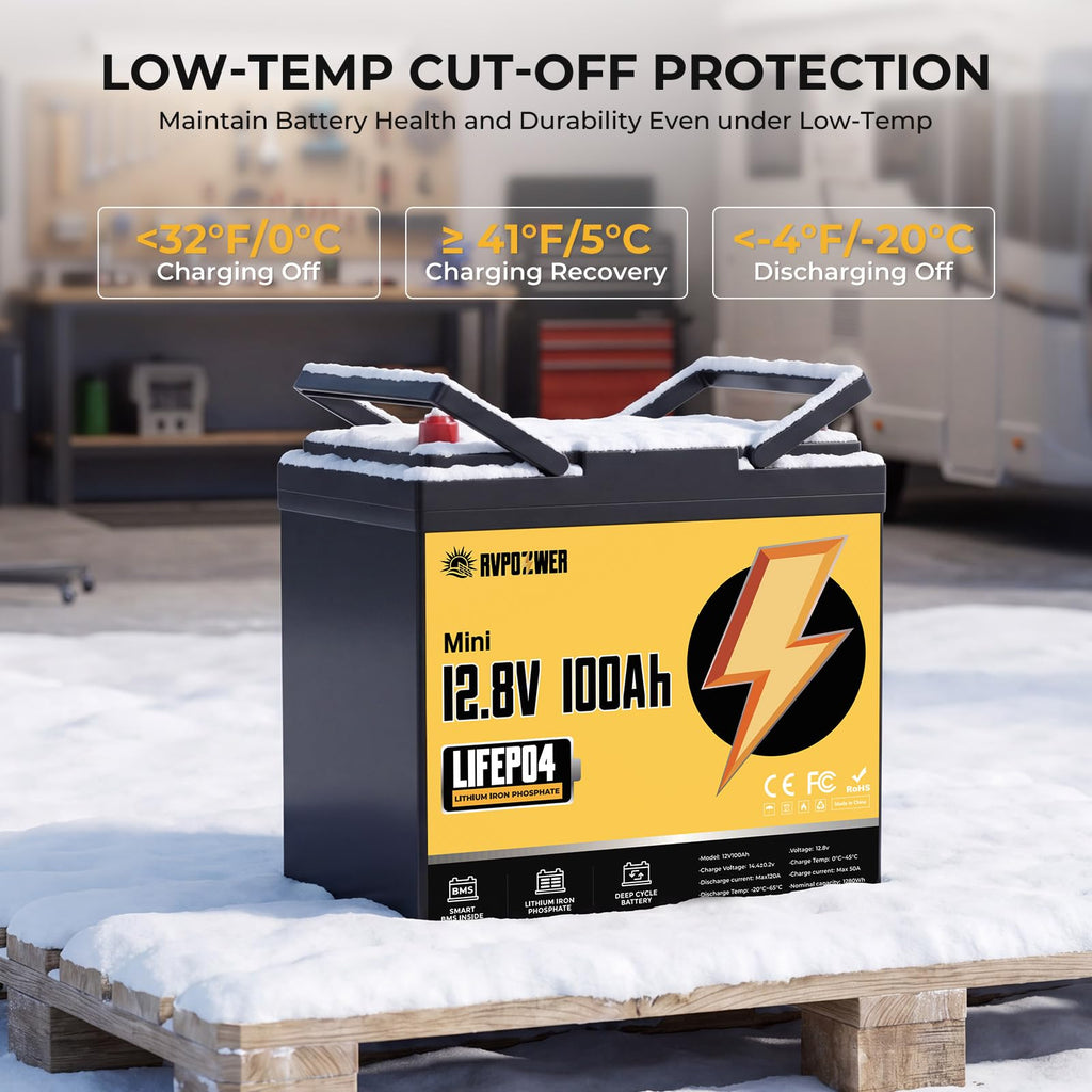 12V 100Ah LiFePO4 Battery Group 24 T53958