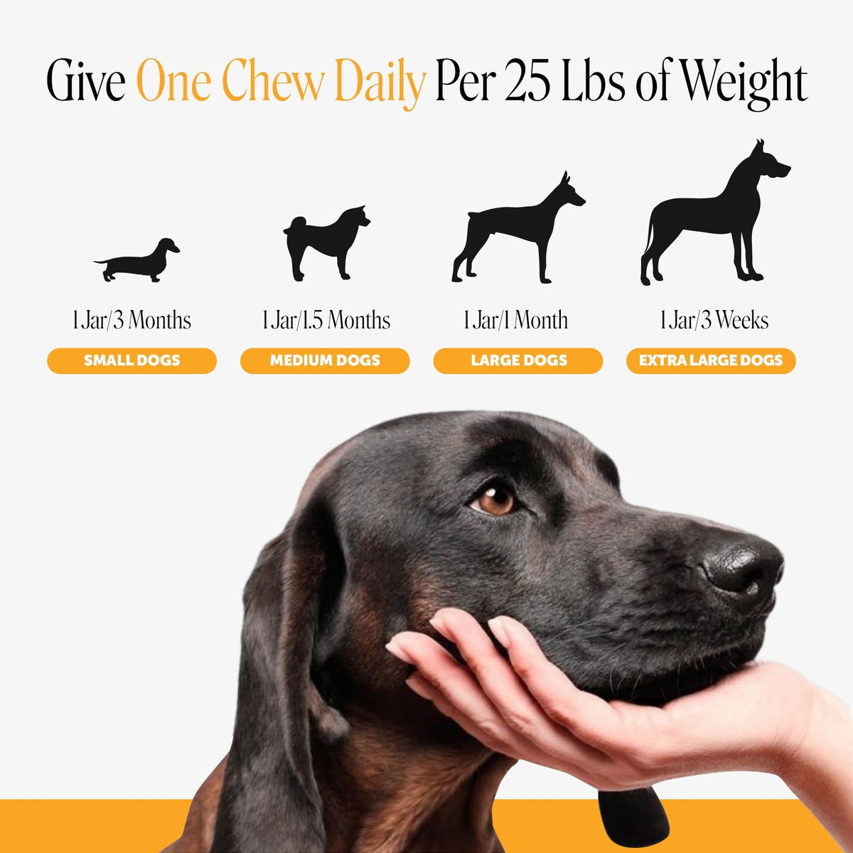 Salmon 90ct Dog Allergy Chews X1492