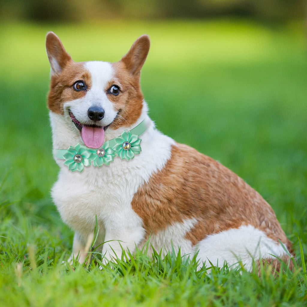 80 Pcs Dog Bowtie Flower Collar Adjustable H34400