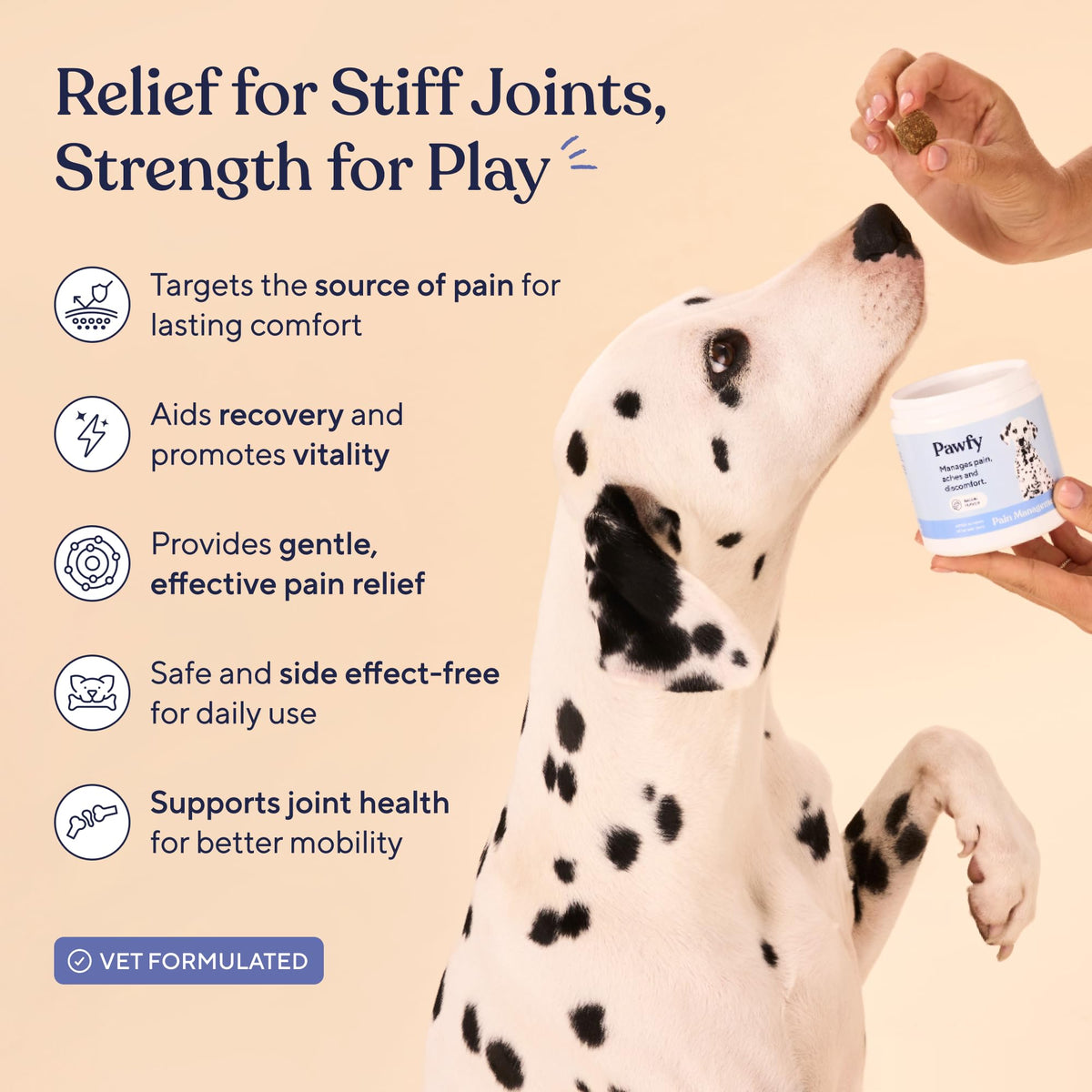 Hip & Joint Supplement for Dogs H78862