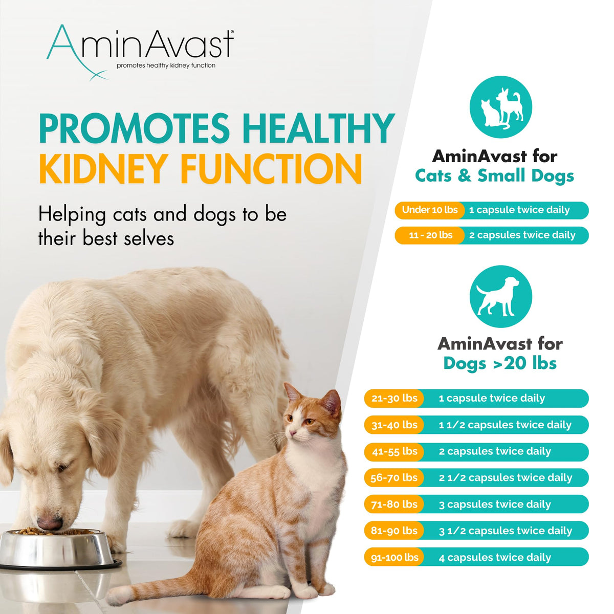 Kidney Support for Dogs 60 Sprinkle Capsules K1939