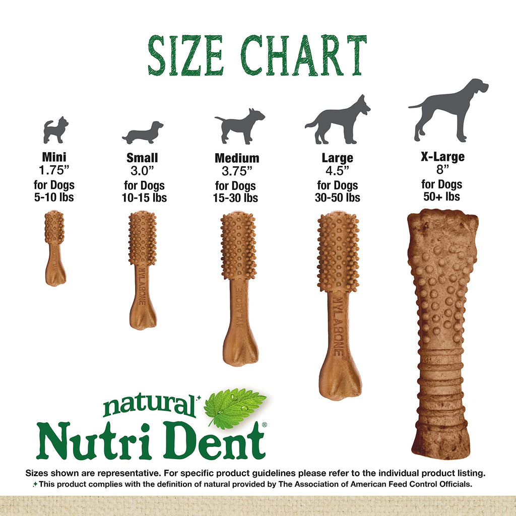 Filet Mignon Flavor Dog Dental Treats 40 Count H6978