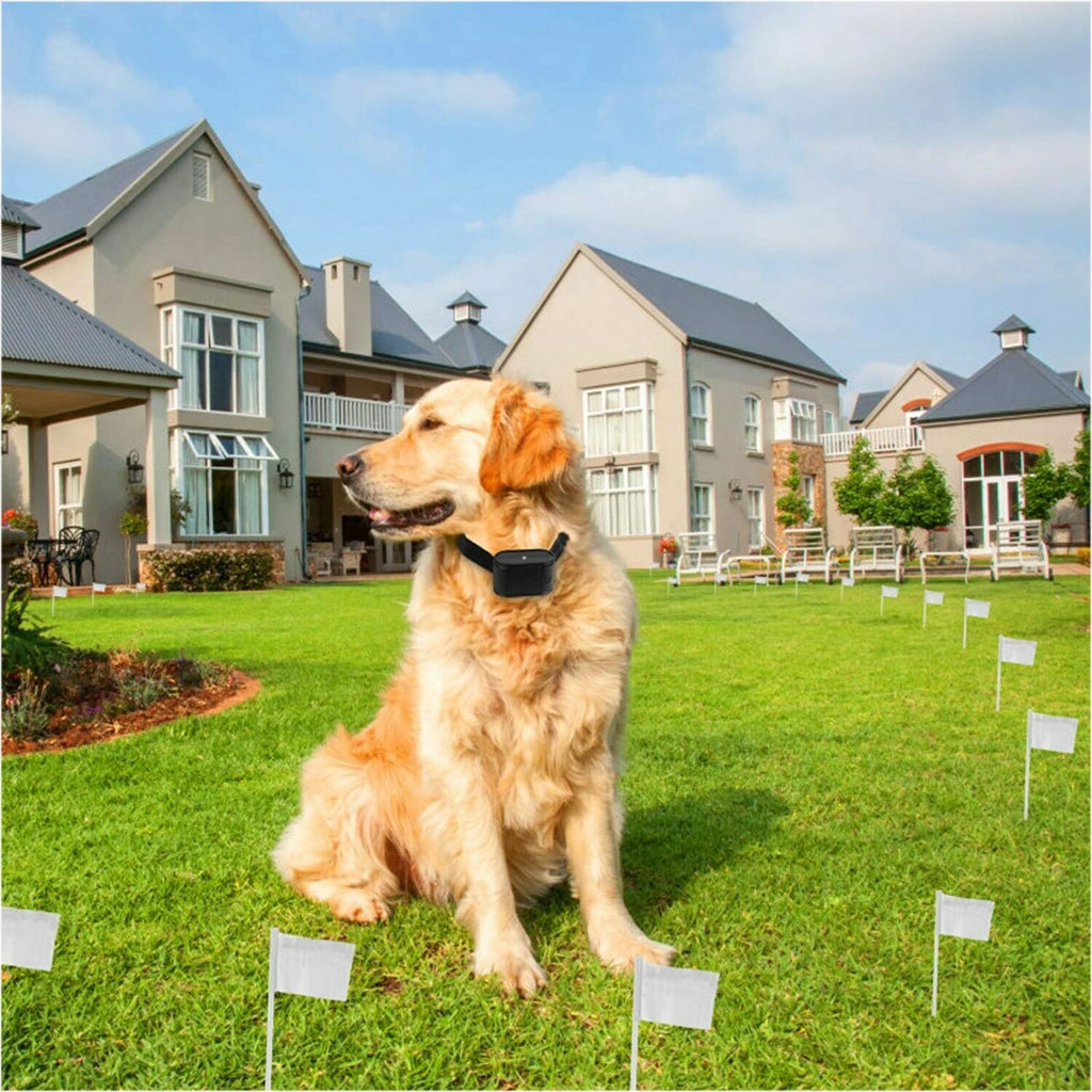 Wireless Electric Dog Fence System, In-ground/Aboveground Pet Containment System O264015