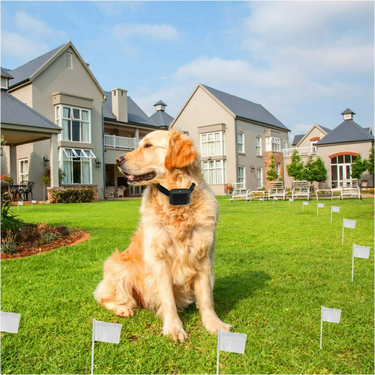 Wireless Electric Dog Fence System, In-ground/Aboveground Pet Containment System O264015