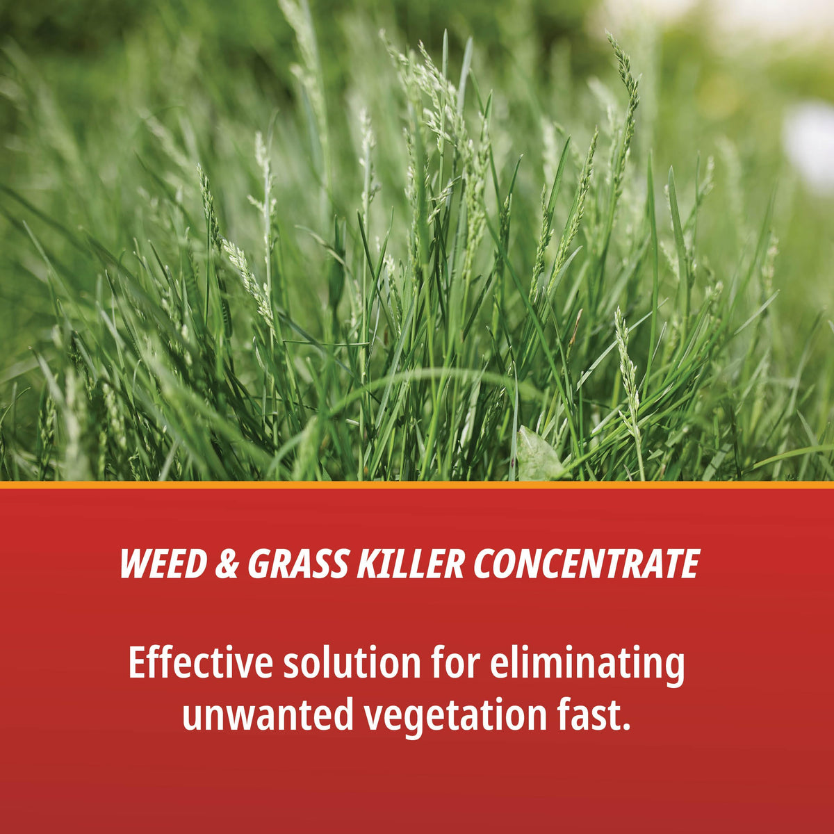 1 Gallon Weed & Grass Killer Concentrate J632951