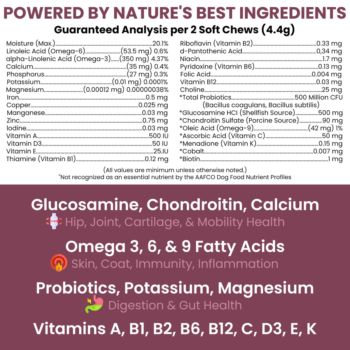 Dog Multivitamin Soft Chew C4063