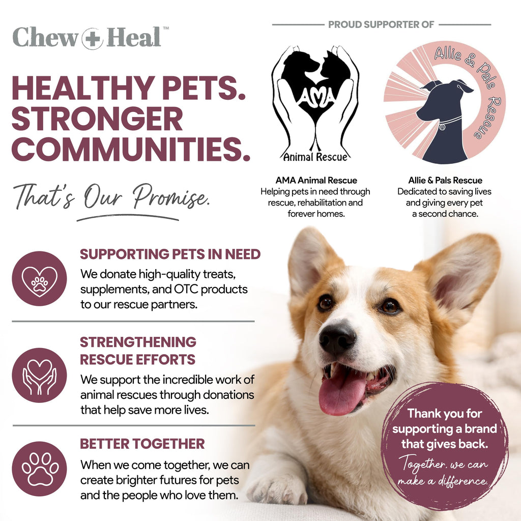 Dog Multivitamin Soft Chew C4063