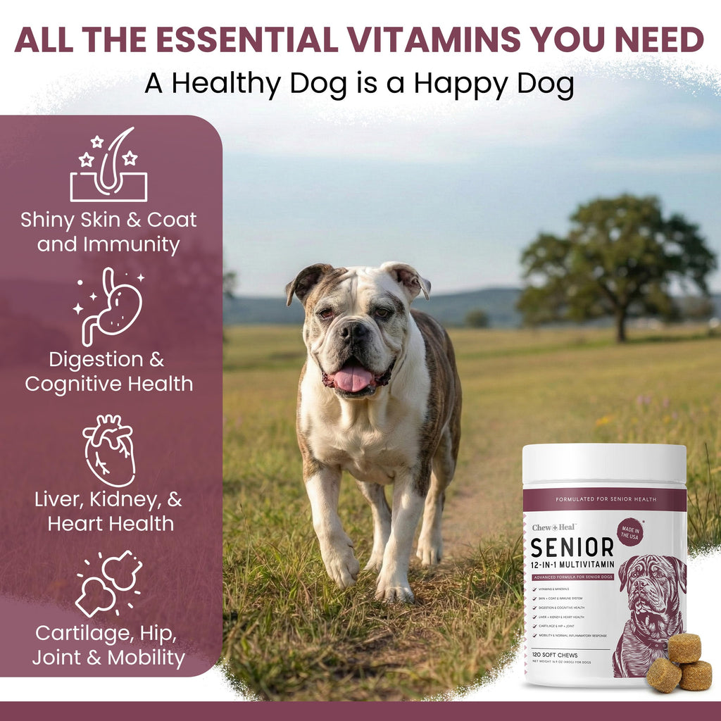 Dog Multivitamin Soft Chew C4063