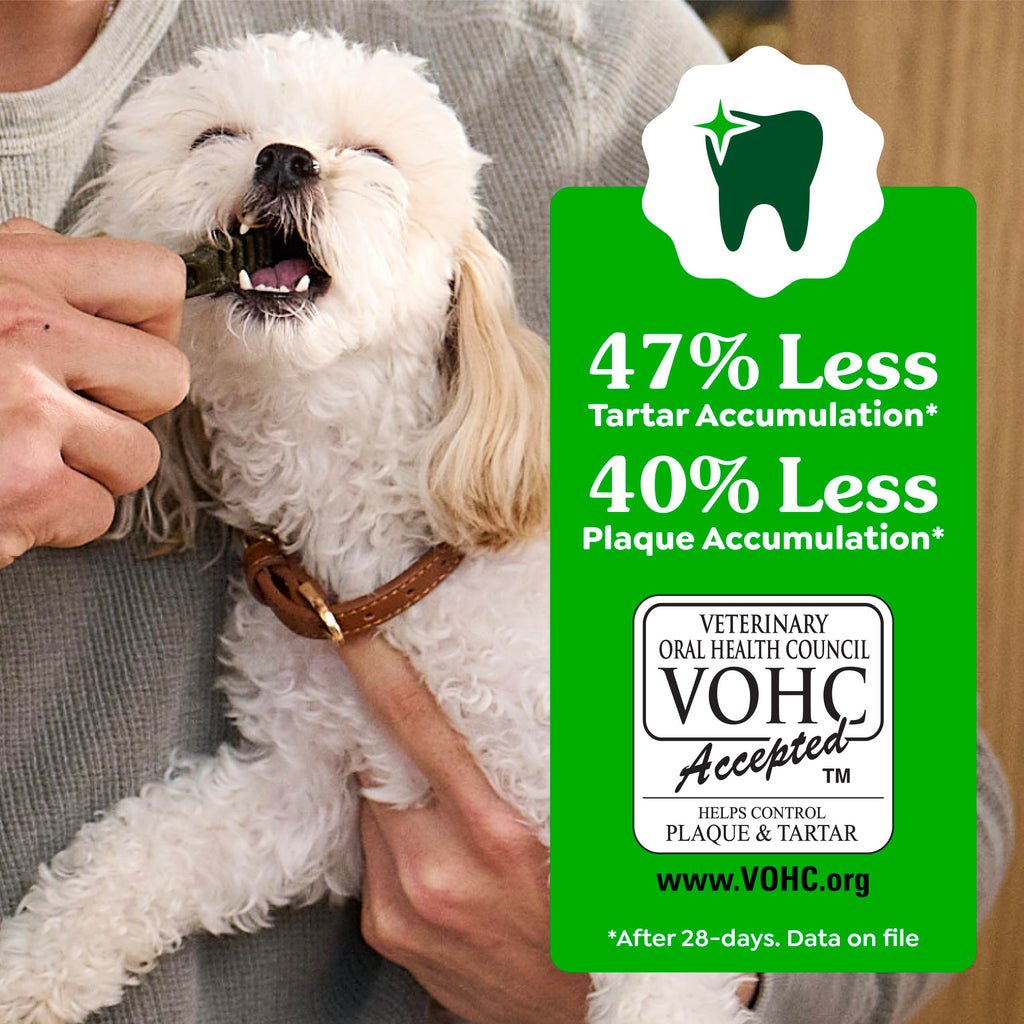 Large Natural Dental Dog Treats, 24 Count C1361