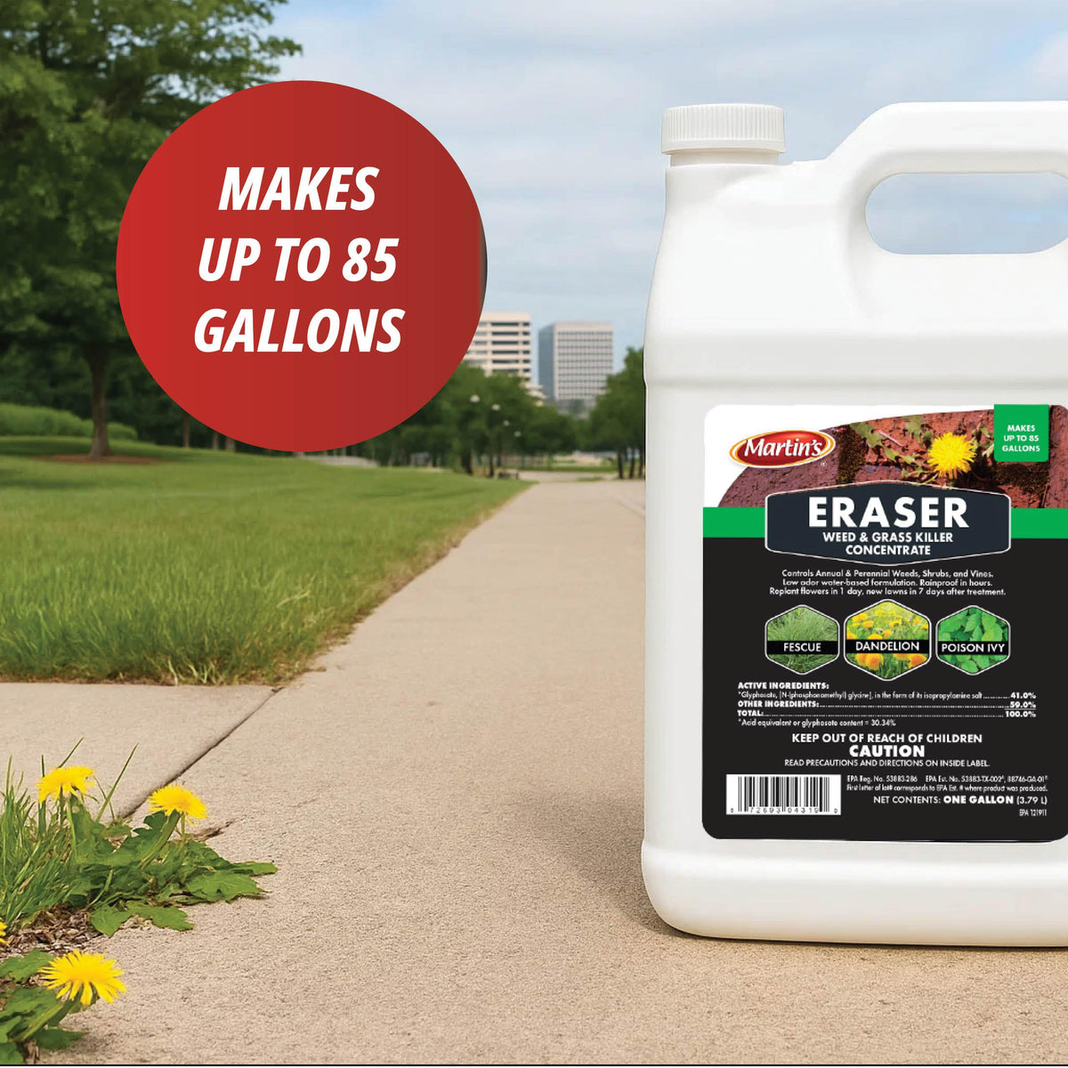 1 Gallon Weed & Grass Killer Concentrate J632951