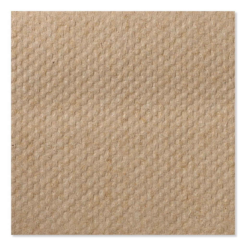 Multifold Hand Towel Natural 16 x 250 Sheets A505850