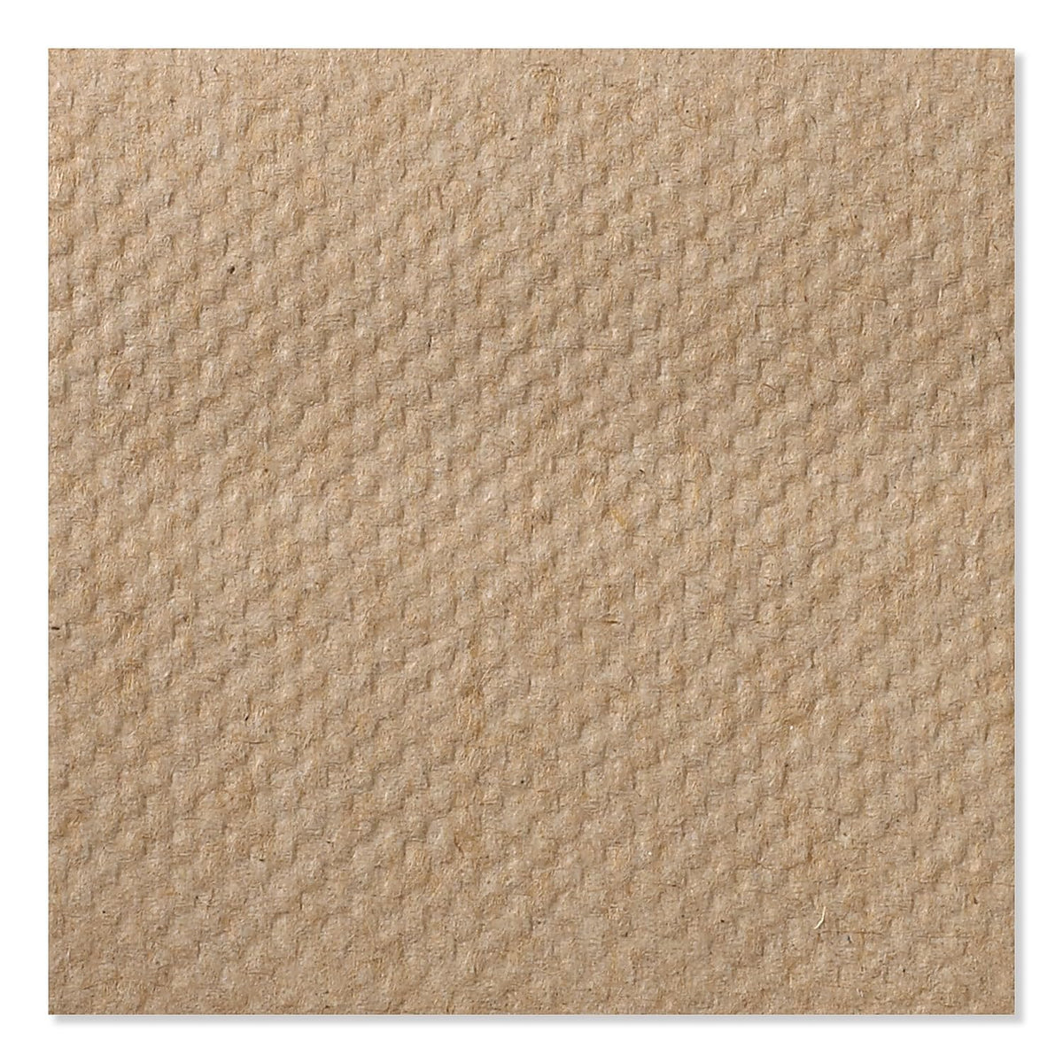 Multifold Hand Towel Natural 16 x 250 Sheets A505850