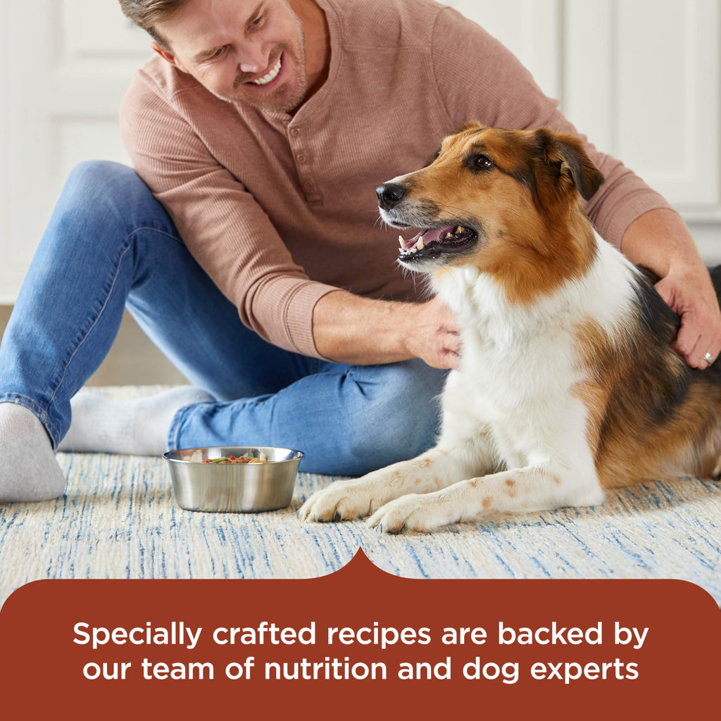 Savory Favorites Wet Dog Food Variety Pack, 8 oz Tubs J8890