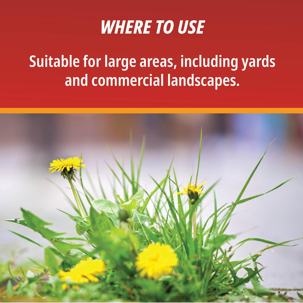 1 Gallon Weed & Grass Killer Concentrate J632951