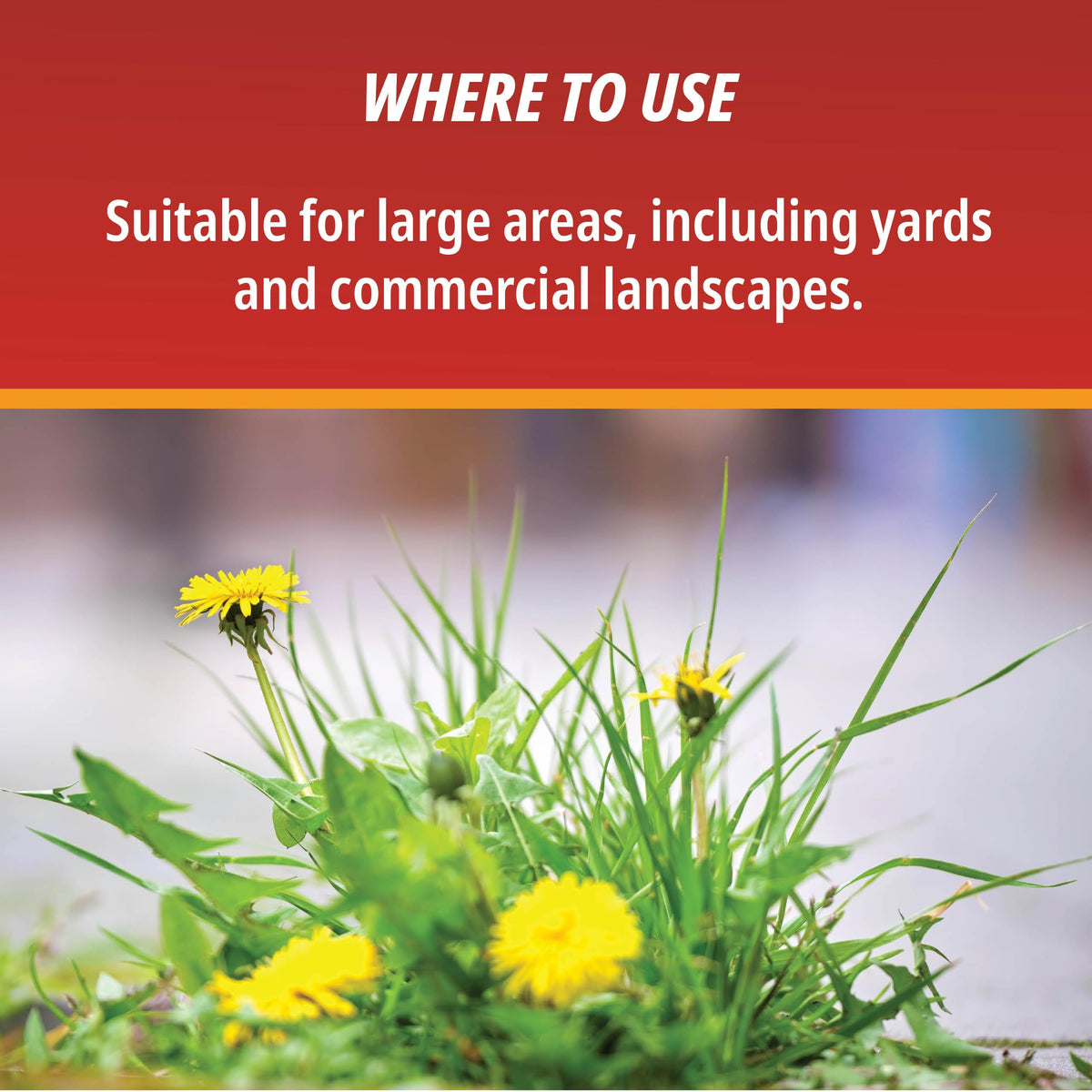 1 Gallon Weed & Grass Killer Concentrate J632951