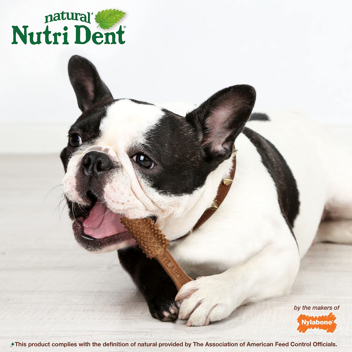Filet Mignon Flavor Dog Dental Treats 40 Count H6978