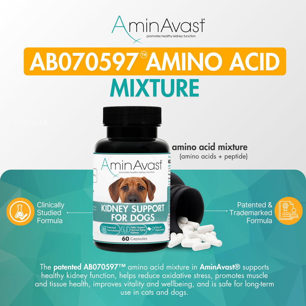 Kidney Support for Dogs 60 Sprinkle Capsules K1939