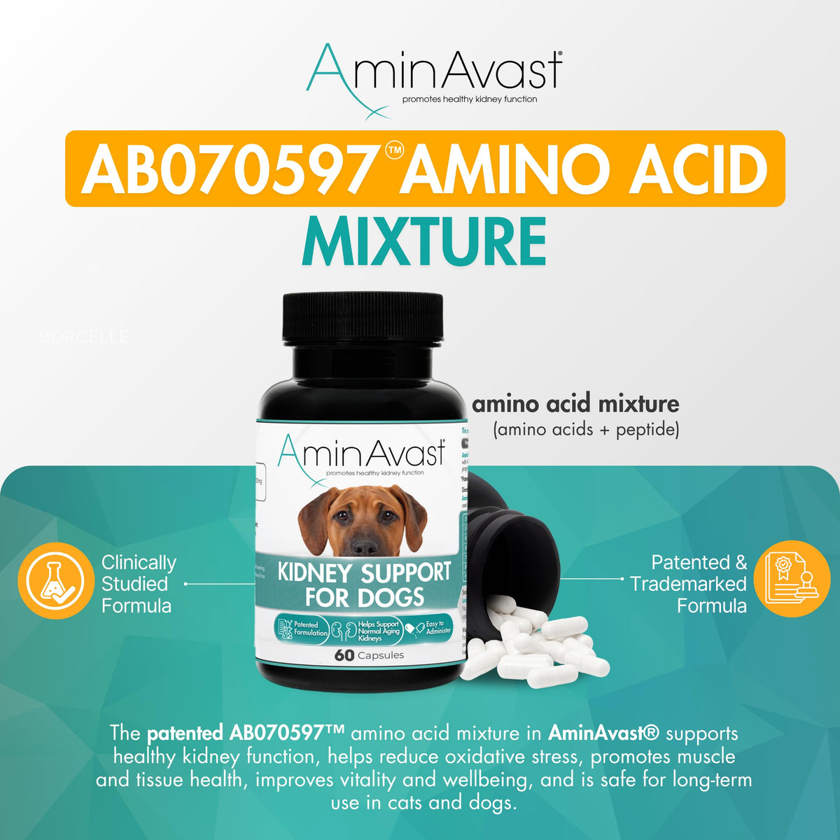 Kidney Support for Dogs 60 Sprinkle Capsules K1939