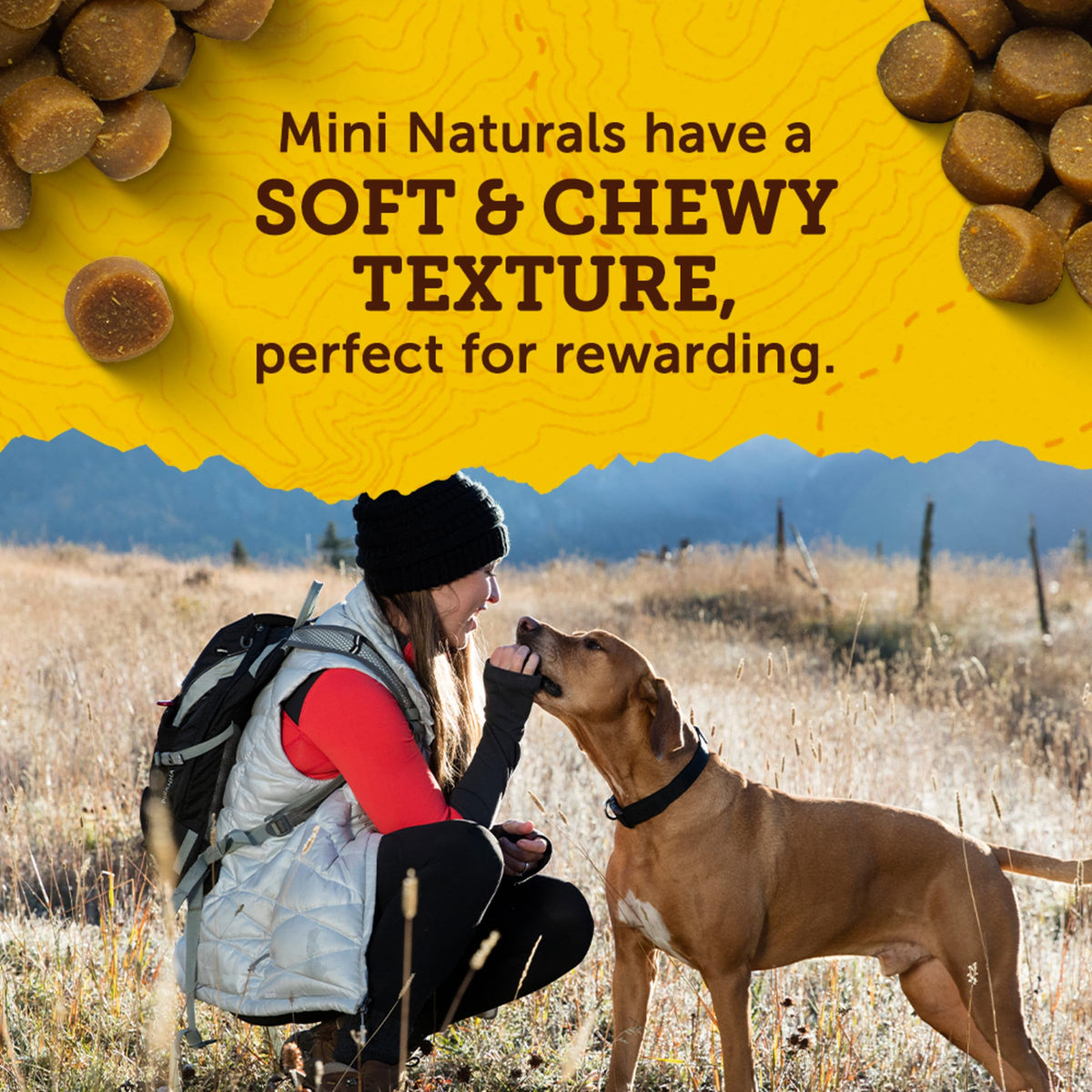 Real Peanut Butter Dog Training Treats 16 oz S165