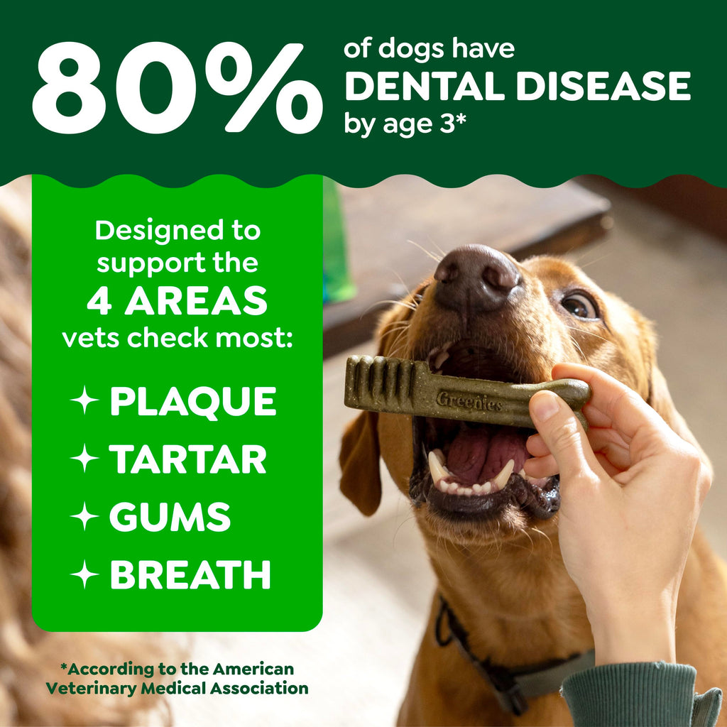 Large Natural Dental Dog Treats, 24 Count C1361