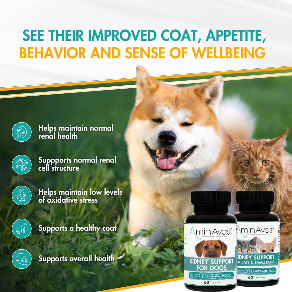 Kidney Support for Dogs 60 Sprinkle Capsules K1939