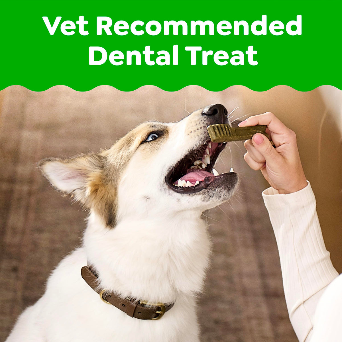 Large Natural Dental Dog Treats, 24 Count C1361