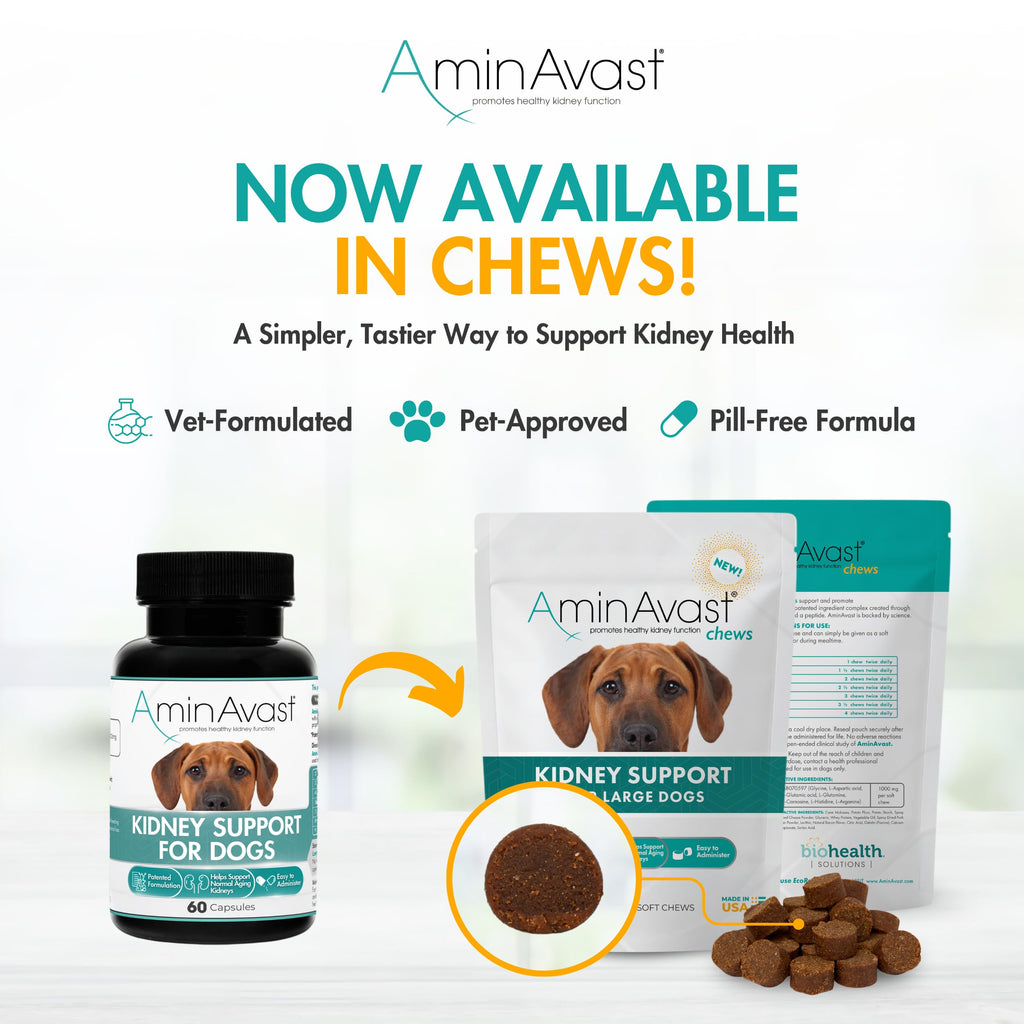 Kidney Support for Dogs 60 Sprinkle Capsules K1939