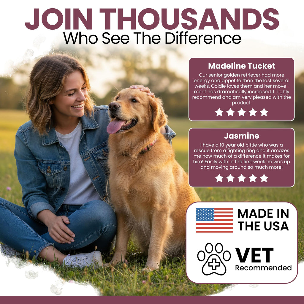Dog Multivitamin Soft Chew C4063