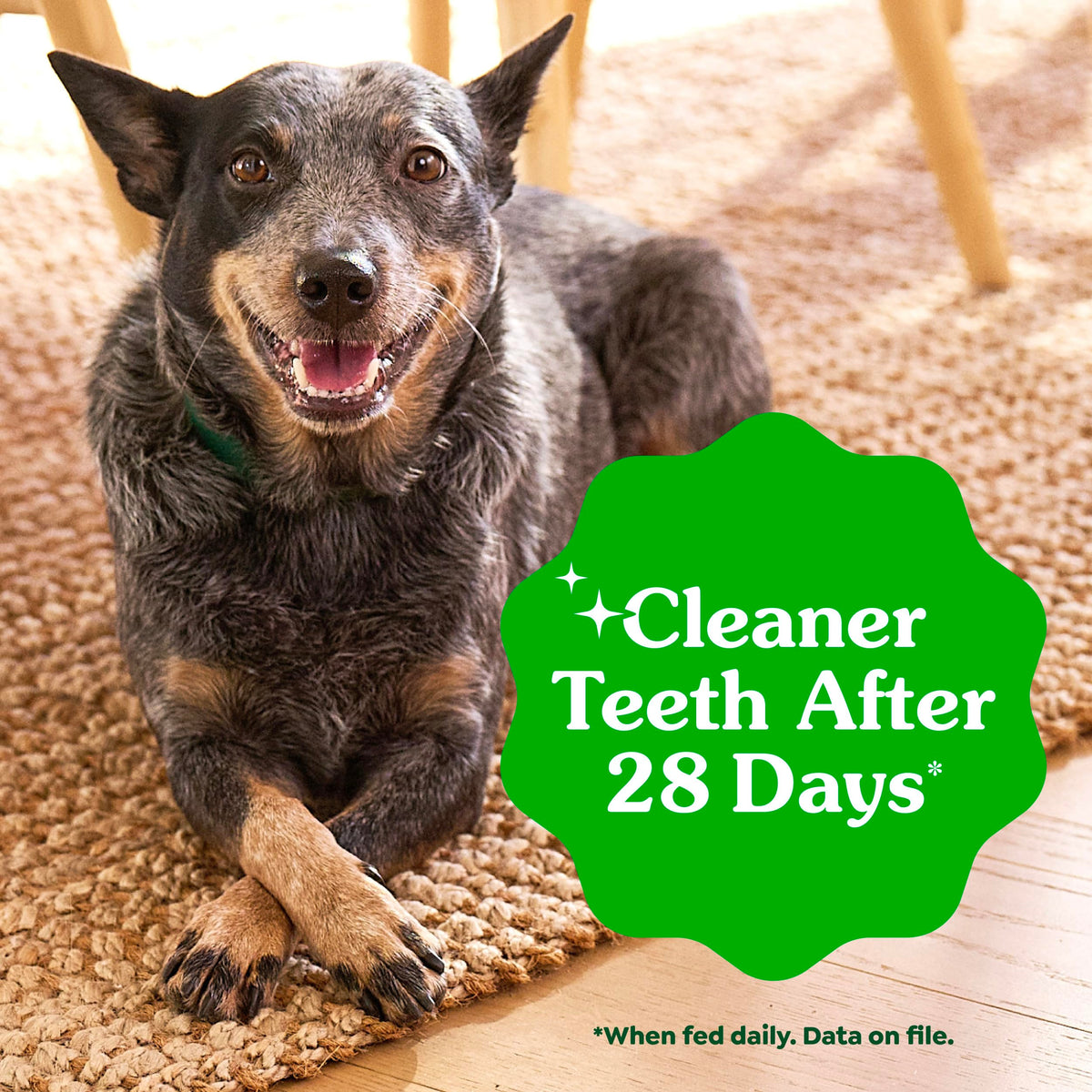 Large Natural Dental Dog Treats, 24 Count C1361